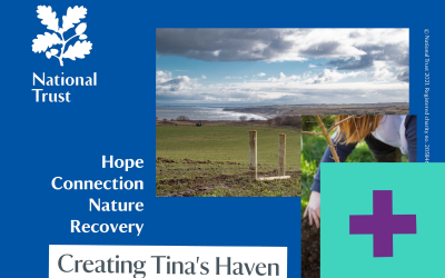 Tree Planting at Tina’s Haven