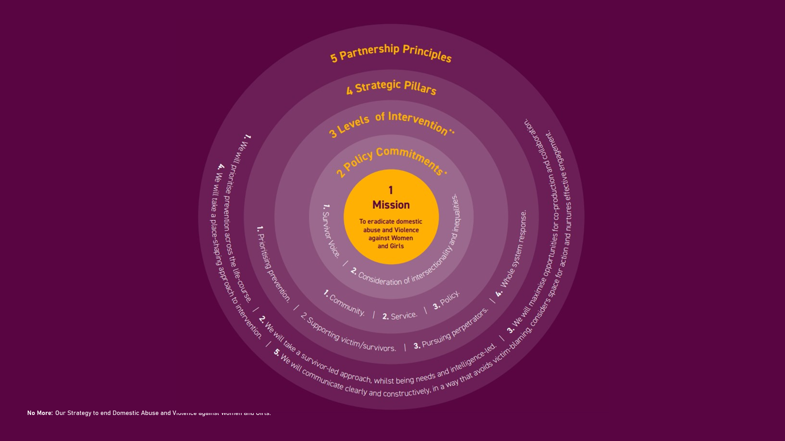 Sunderland DV and VAWG 12345 mission framework 